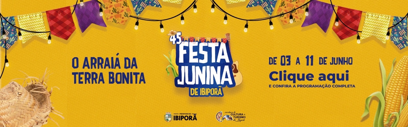 Banner Festa Junina Municipal