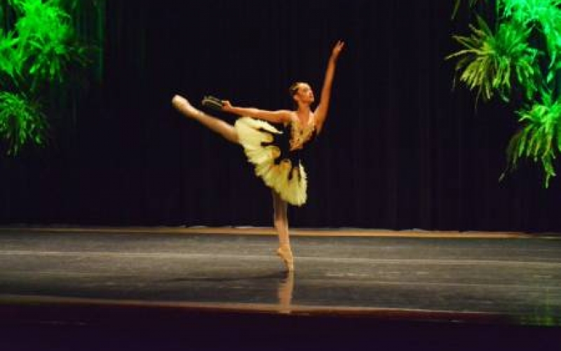 Lei cria bolsa auxilio para alunos de ballet